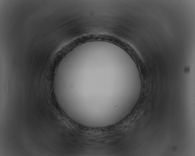 X0000101990919200807180821