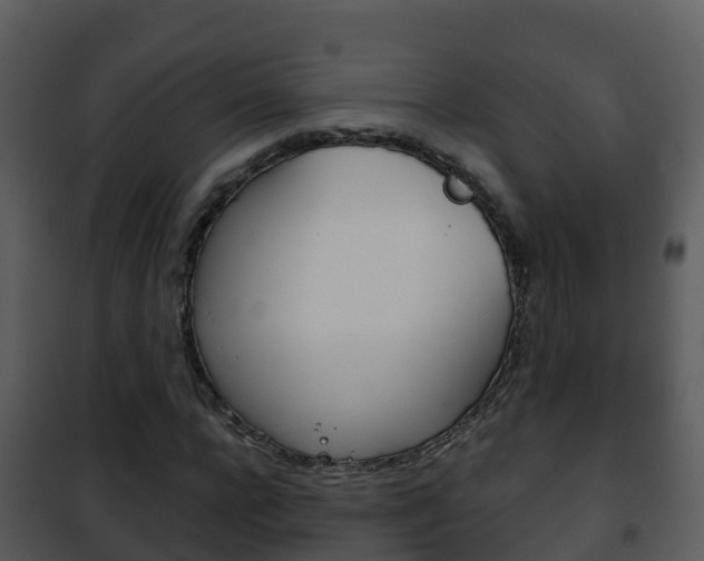 X0000101990920200807180821