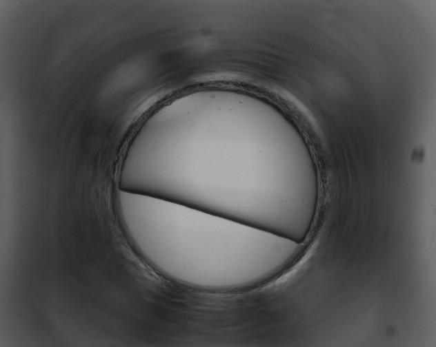 X0000101990921200807180821