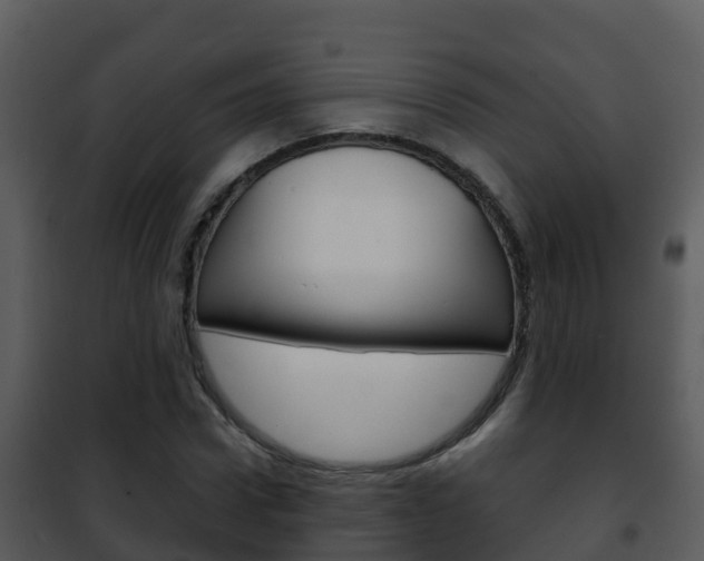X0000101990922200807180821