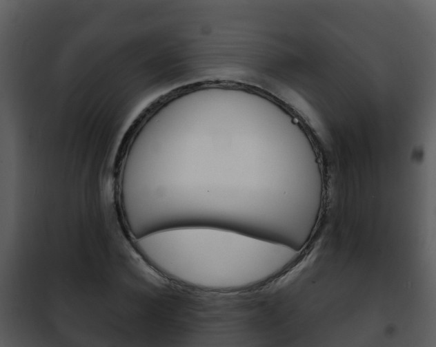 X0000101990924200807180821