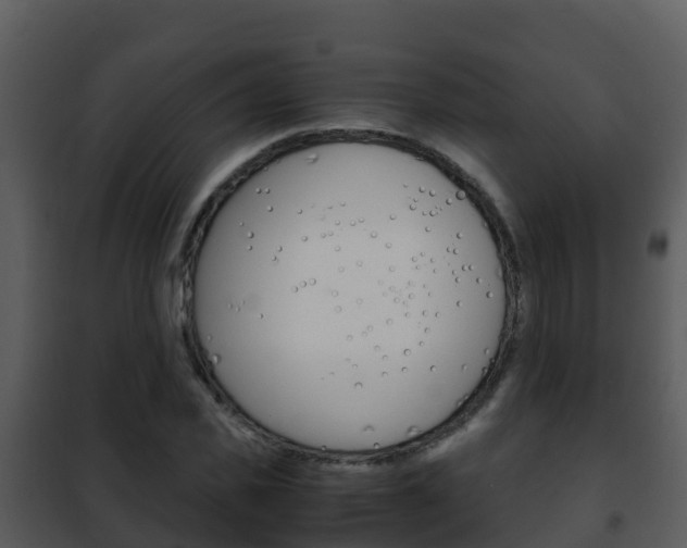 X0000101990925200807180821