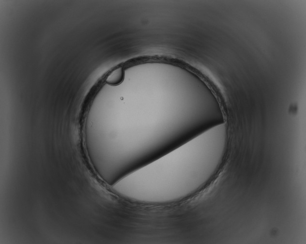 X0000101990927200807180821