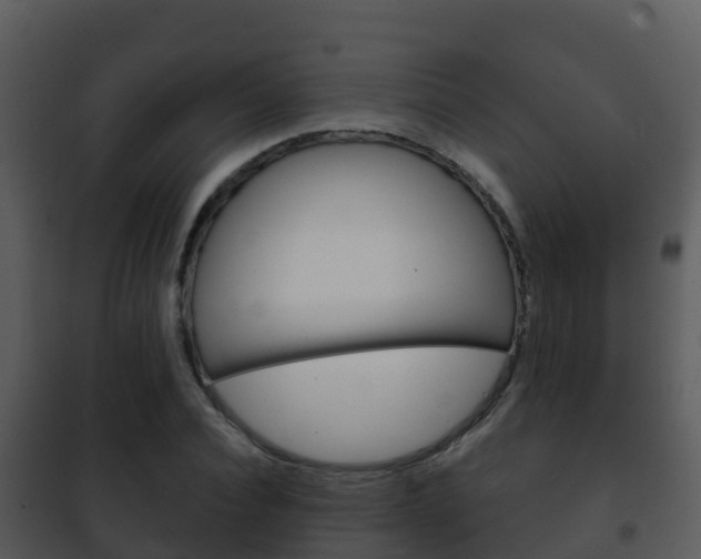X0000101990928200807180821