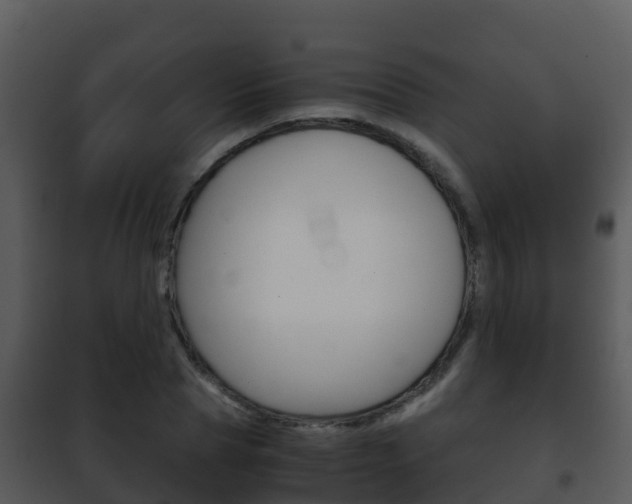 X0000101990929200807180821