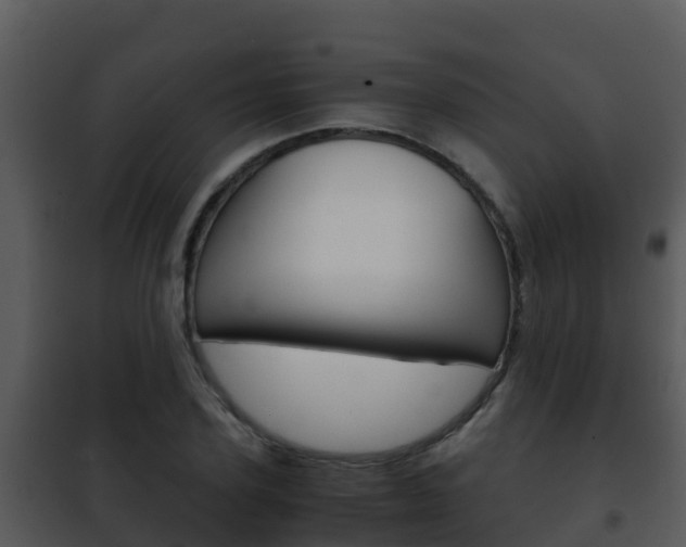 X0000101990931200807180821