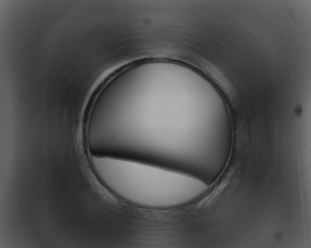 X0000101990932200807180821