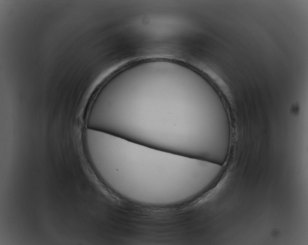 X0000101990933200807180821