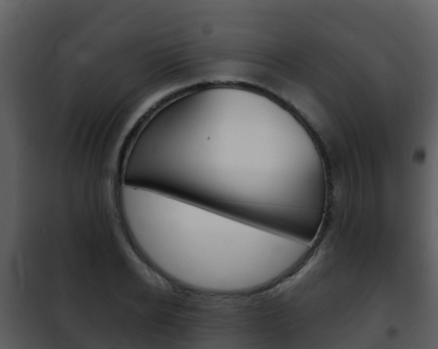 X0000101990934200807180821
