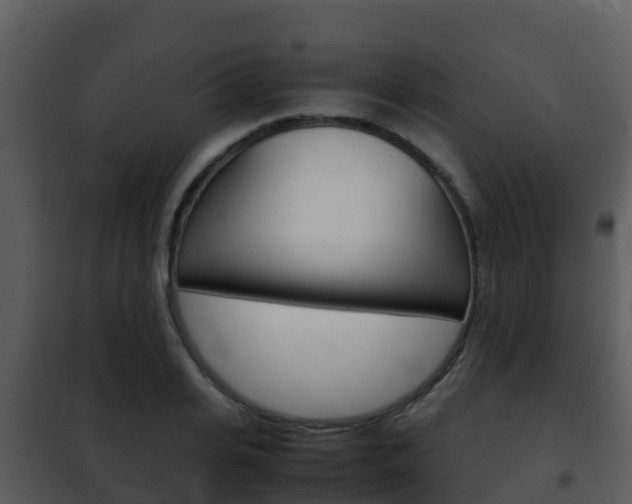 X0000101990935200807180821