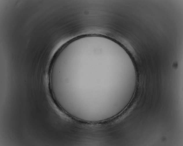 X0000101990936200807180821