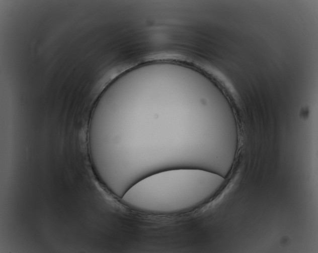X0000101990937200807180821