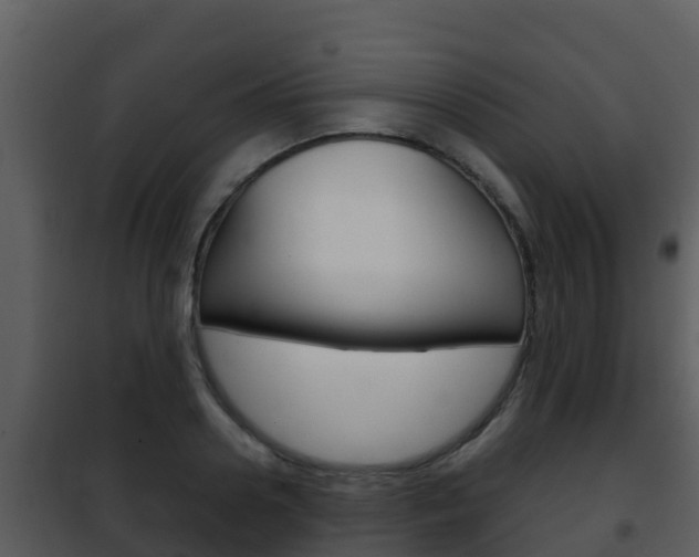 X0000101990938200807180821