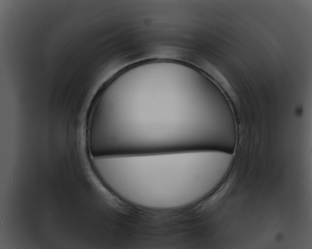 X0000101990939200807180821