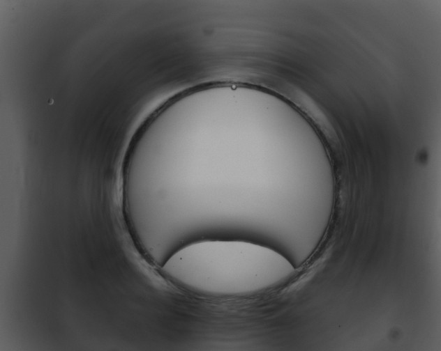 X0000101990940200807180821