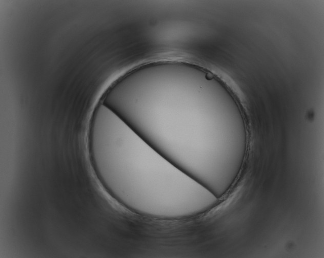 X0000101990941200807180821