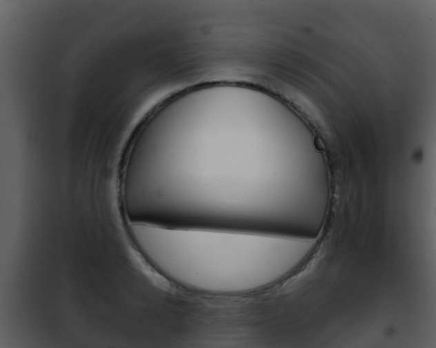X0000101990942200807180821