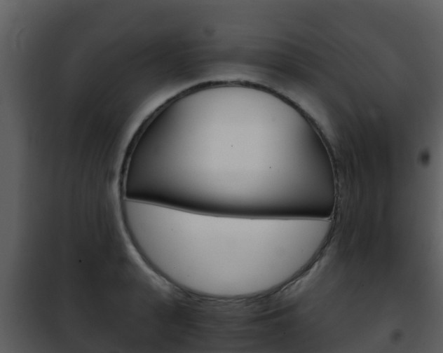 X0000101990943200807180821
