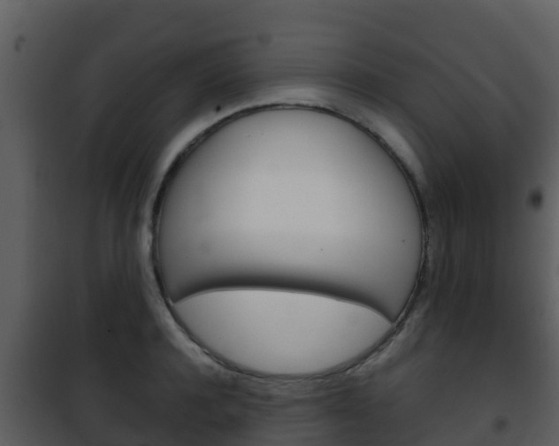 X0000101990944200807180821