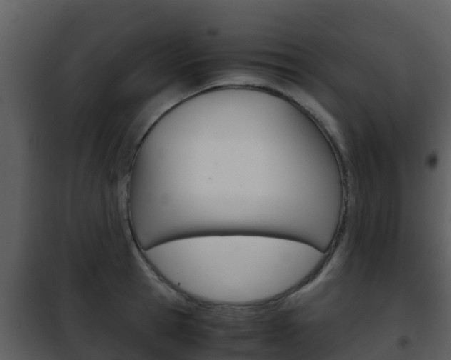 X0000101990945200807180821