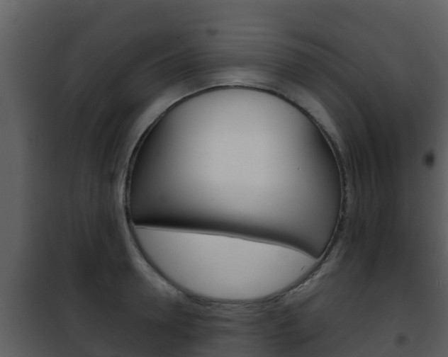 X0000101990946200807180821