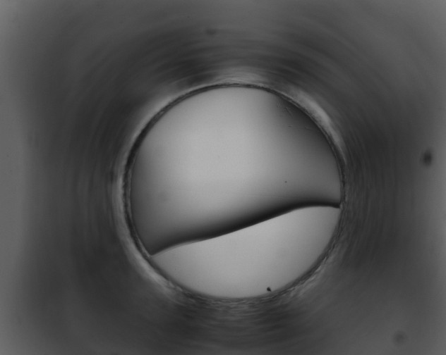 X0000101990947200807180821