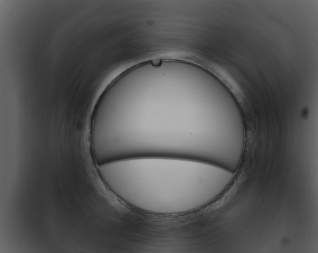 X0000101990948200807180821