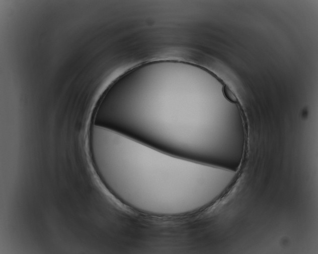 X0000101990949200807180821