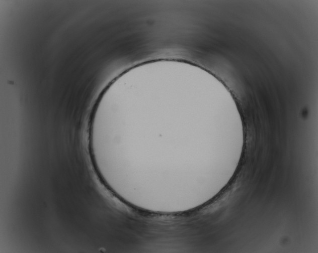 X0000101990950200807180821