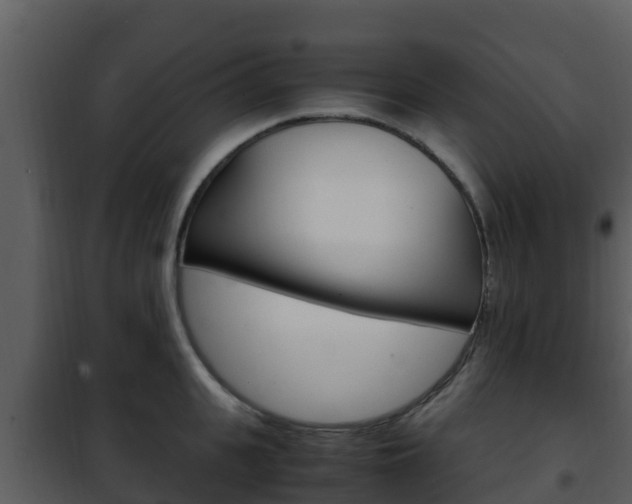 X0000101990951200807180821