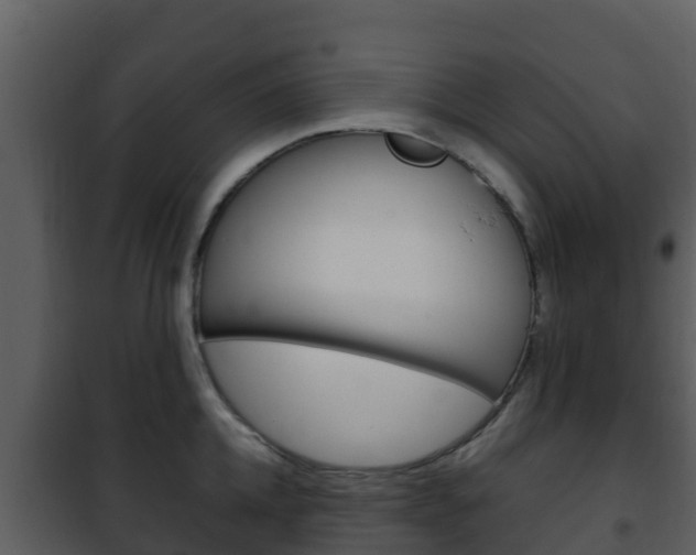 X0000101990952200807180821