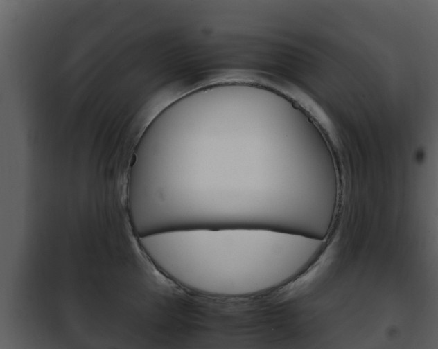 X0000101990953200807180821