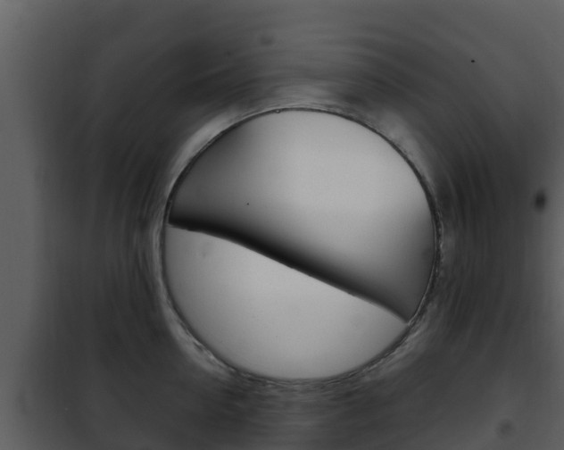 X0000101990954200807180821