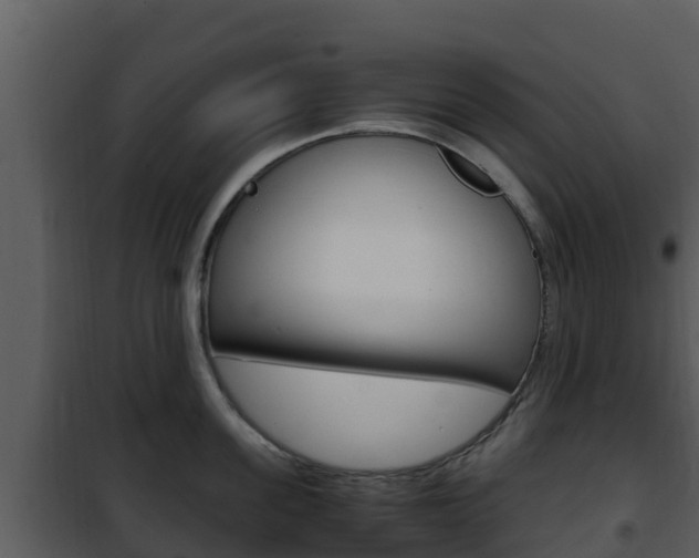 X0000101990955200807180821