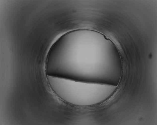 X0000101990956200807180821