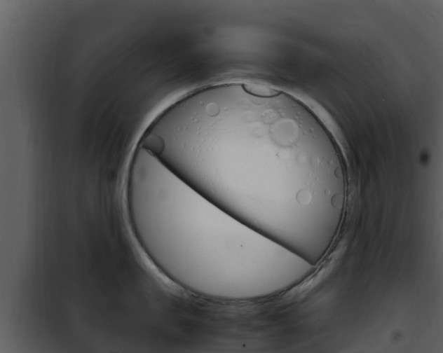 X0000101990957200807180821