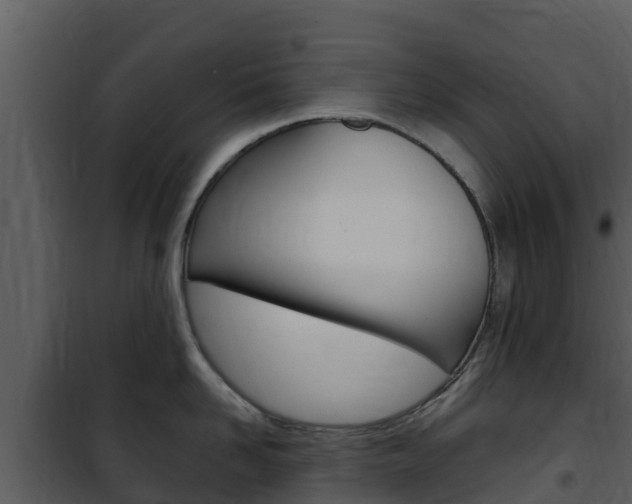 X0000101990958200807180821