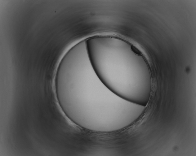 X0000101990959200807180821