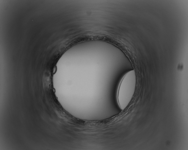 X0000101990963200807180821