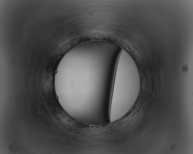 X0000101990964200807180821