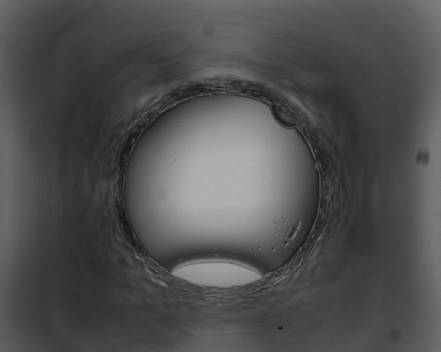 X0000101990965200807180821