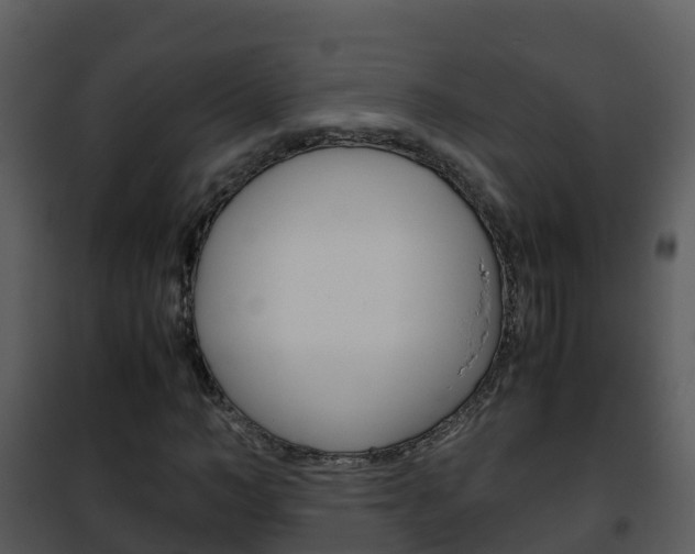 X0000101990966200807180821