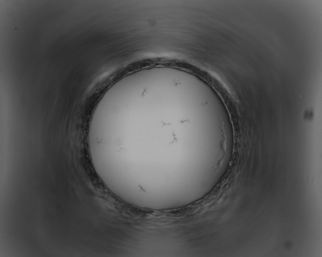 X0000101990967200807180821