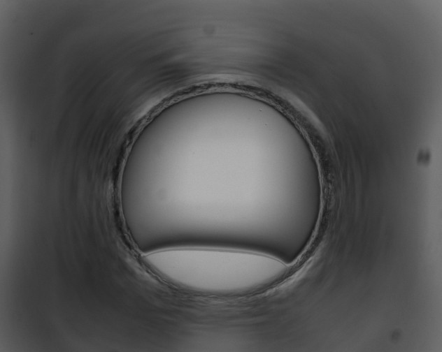 X0000101990969200807180821