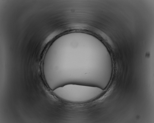 X0000101990970200807180821