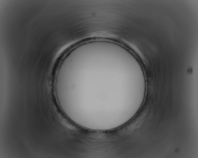 X0000101990971200807180821
