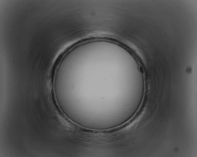 X0000101990973200807180821