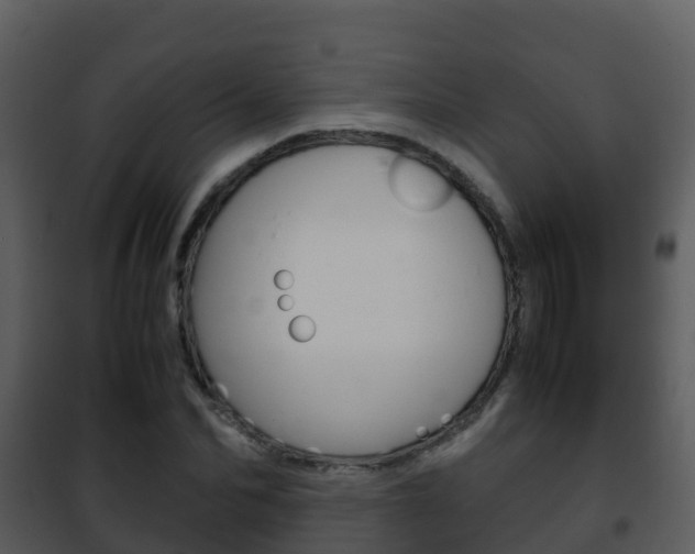 X0000101990974200807180821