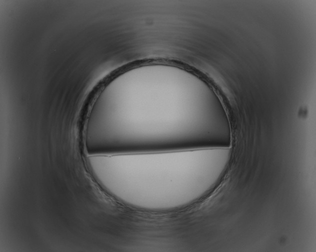 X0000101990975200807180821