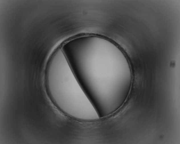 X0000101990976200807180821